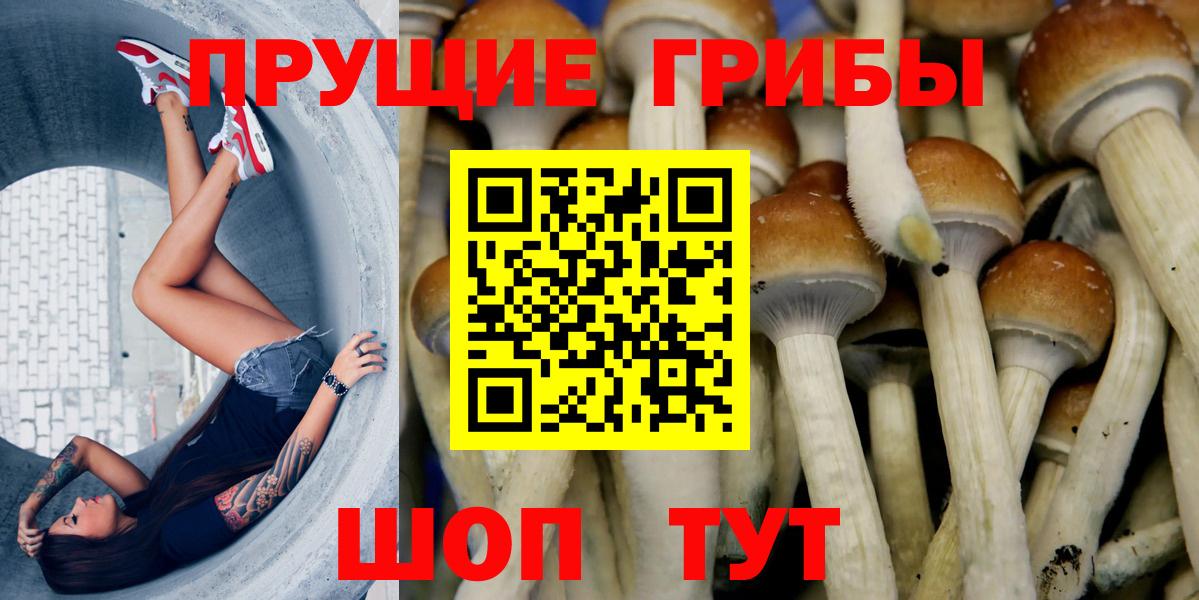 Галлюциногенные грибы Magic Shrooms  Вход с VPN  Советск 